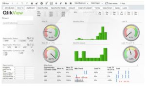 Analizy Humansoft dsg software
